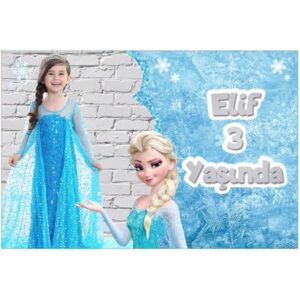 Frozen Elsa Konsept Fotoğraflı Parti Afişi