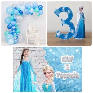 Frozen Elsa Mini Butik Parti Seti - Zincir Balonlu