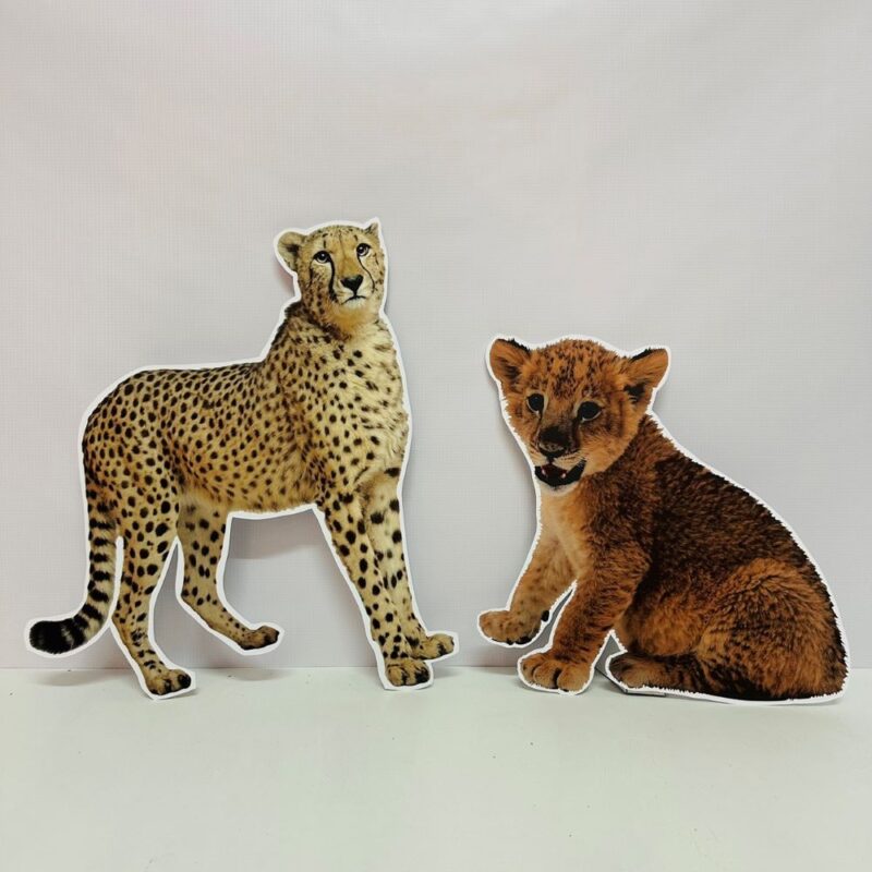 Safari Konsept Çita ve Yavru Aslan Maketi