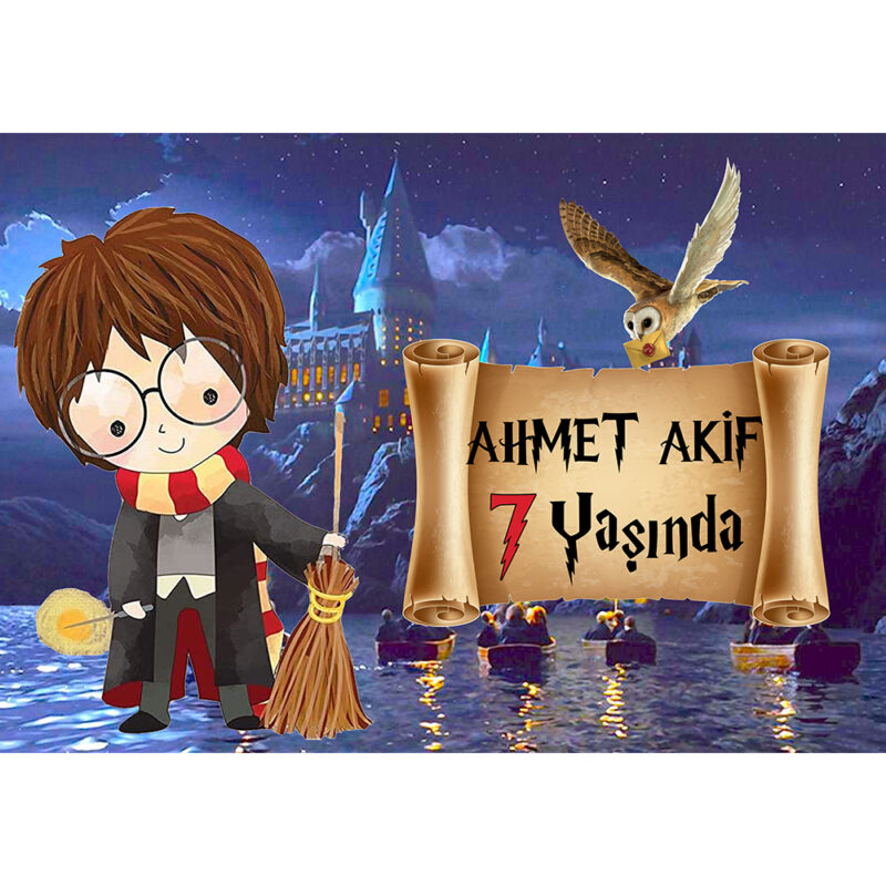 Harry Potter Konsept Parti Afişi