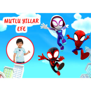 Spidey ve İnanılmaz Arkadaşları Konsept Fotoğraflı Parti Afişi