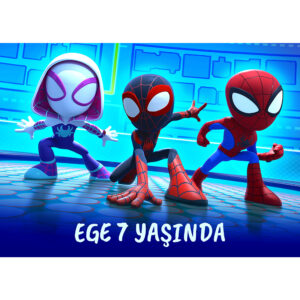 Spidey ve İnanılmaz Arkadaşları Konsept Parti Afişi