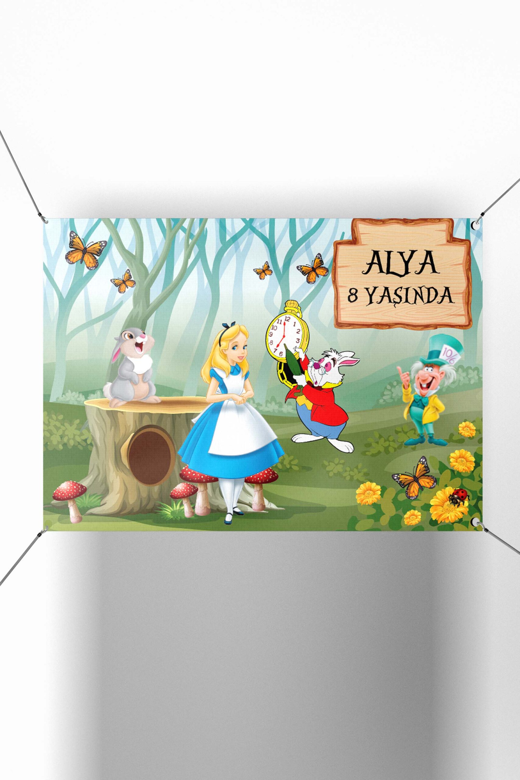 Alice Harikalar Diyarında Konsept Parti Afişi